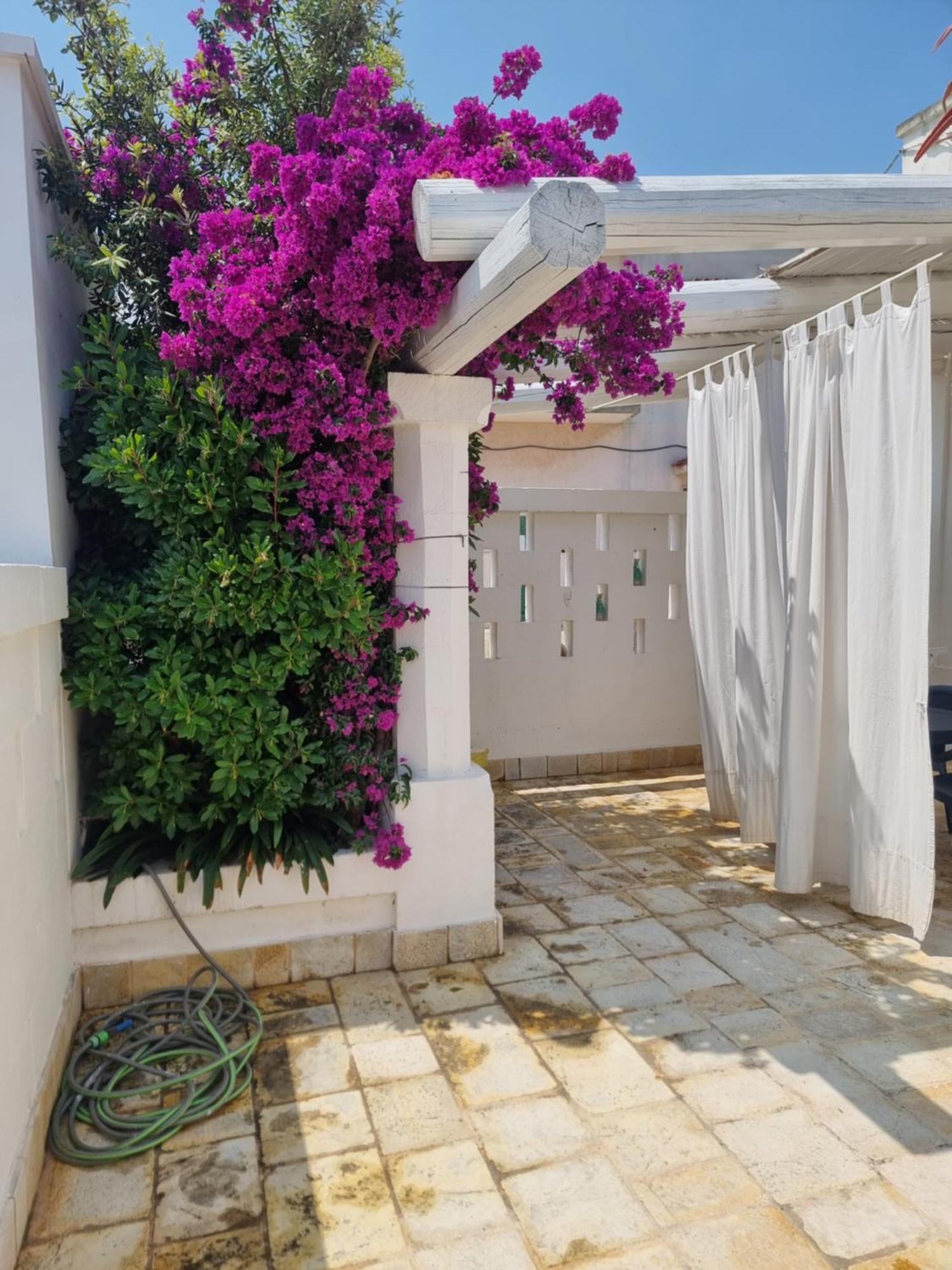 Villini Di Sant'Andreas Apartment Monopoli Luaran gambar